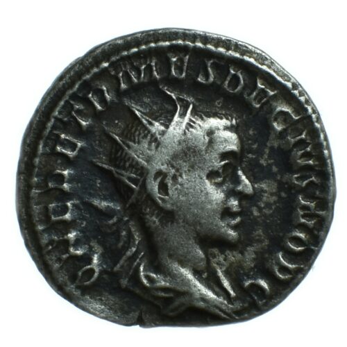 etruscus avers 28