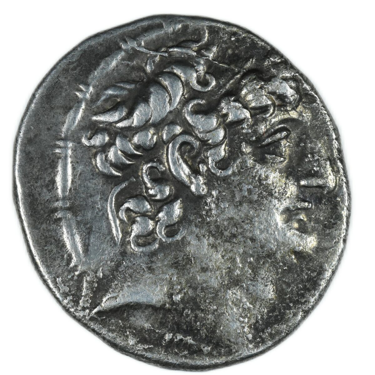 TETRADRACHME SELEUCOS AVERS